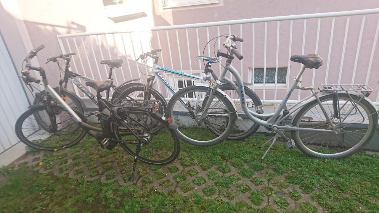 Ferienwohnung Lang Nittenau Экстерьер фото